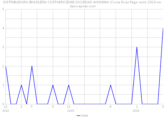 DISTRIBUIDORA BRASILEŃA COSTARRICENSE SOCIEDAD ANONIMA (Costa Rica) Page visits 2024 