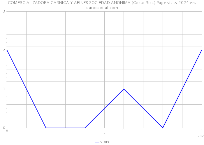 COMERCIALIZADORA CARNICA Y AFINES SOCIEDAD ANONIMA (Costa Rica) Page visits 2024 