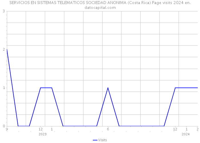 SERVICIOS EN SISTEMAS TELEMATICOS SOCIEDAD ANONIMA (Costa Rica) Page visits 2024 