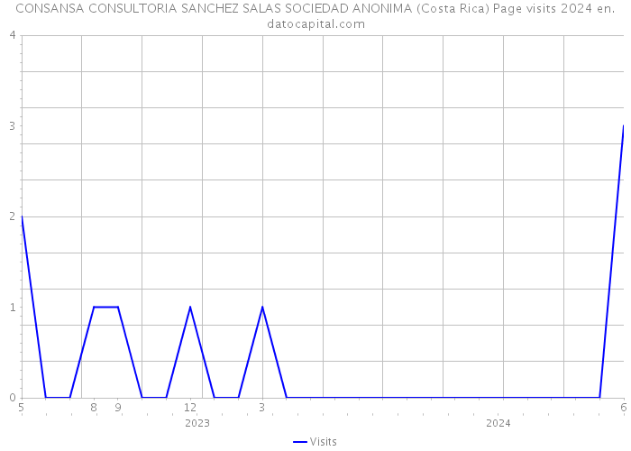 CONSANSA CONSULTORIA SANCHEZ SALAS SOCIEDAD ANONIMA (Costa Rica) Page visits 2024 