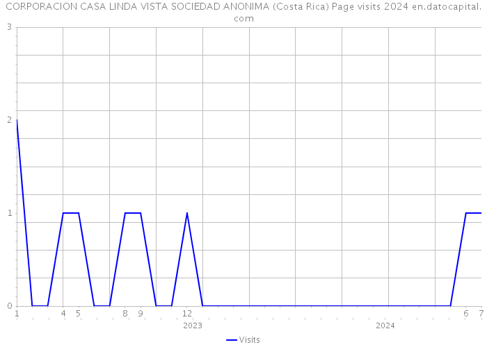 CORPORACION CASA LINDA VISTA SOCIEDAD ANONIMA (Costa Rica) Page visits 2024 