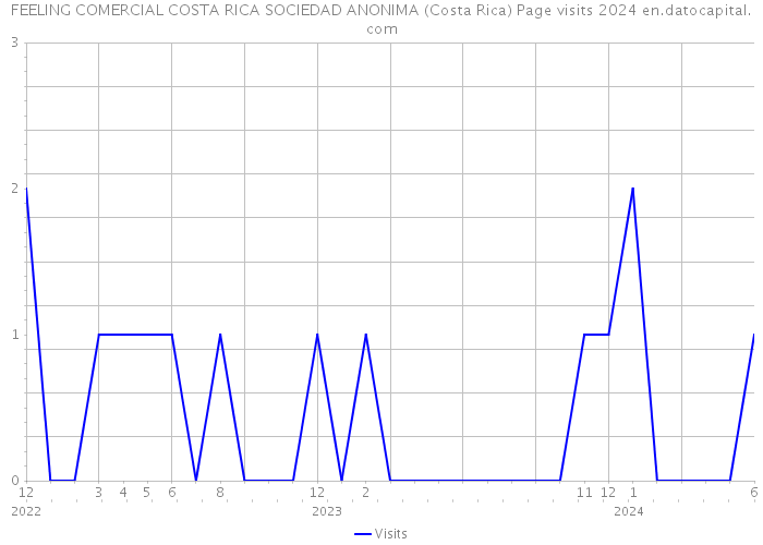 FEELING COMERCIAL COSTA RICA SOCIEDAD ANONIMA (Costa Rica) Page visits 2024 
