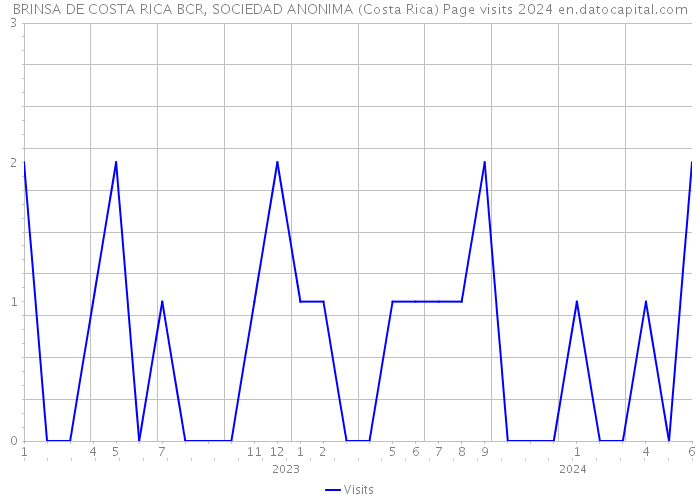 BRINSA DE COSTA RICA BCR, SOCIEDAD ANONIMA (Costa Rica) Page visits 2024 