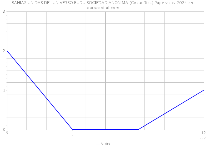 BAHIAS UNIDAS DEL UNIVERSO BUDU SOCIEDAD ANONIMA (Costa Rica) Page visits 2024 