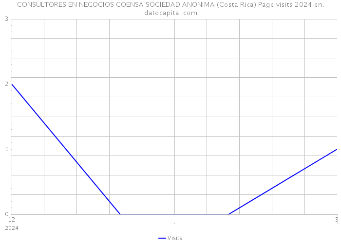 CONSULTORES EN NEGOCIOS COENSA SOCIEDAD ANONIMA (Costa Rica) Page visits 2024 