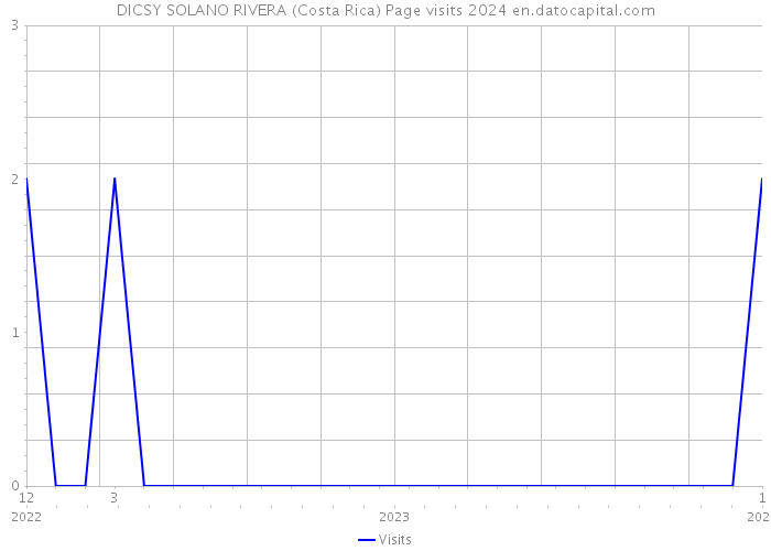 DICSY SOLANO RIVERA (Costa Rica) Page visits 2024 