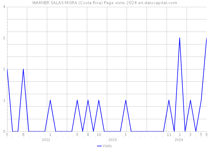 WARNER SALAS MORA (Costa Rica) Page visits 2024 