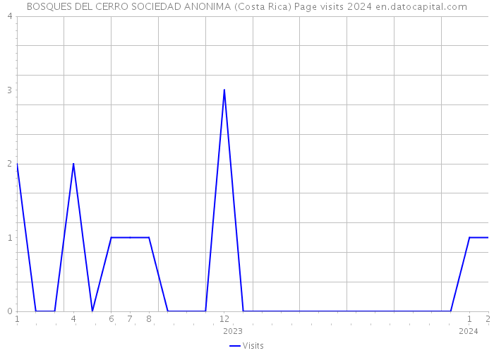 BOSQUES DEL CERRO SOCIEDAD ANONIMA (Costa Rica) Page visits 2024 