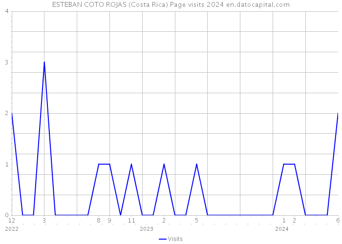 ESTEBAN COTO ROJAS (Costa Rica) Page visits 2024 