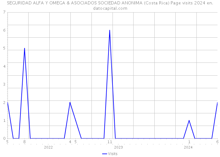 SEGURIDAD ALFA Y OMEGA & ASOCIADOS SOCIEDAD ANONIMA (Costa Rica) Page visits 2024 