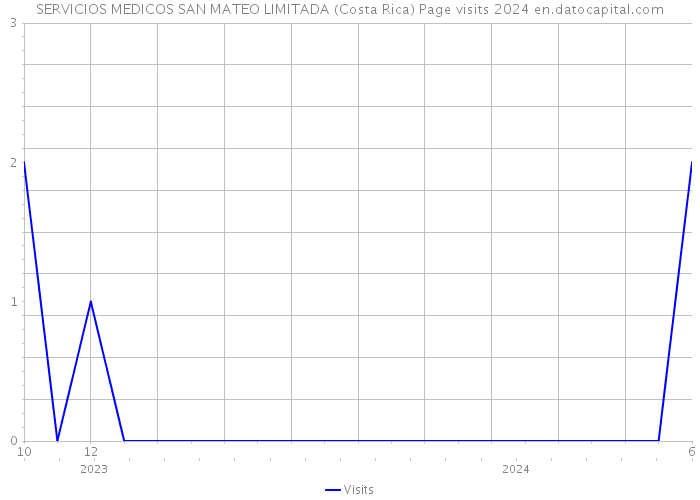 SERVICIOS MEDICOS SAN MATEO LIMITADA (Costa Rica) Page visits 2024 
