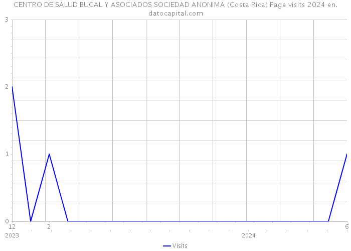 CENTRO DE SALUD BUCAL Y ASOCIADOS SOCIEDAD ANONIMA (Costa Rica) Page visits 2024 