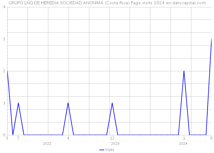 GRUPO LŃQ DE HEREDIA SOCIEDAD ANONIMA (Costa Rica) Page visits 2024 