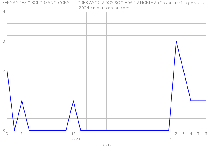 FERNANDEZ Y SOLORZANO CONSULTORES ASOCIADOS SOCIEDAD ANONIMA (Costa Rica) Page visits 2024 