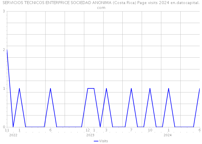 SERVICIOS TECNICOS ENTERPRICE SOCIEDAD ANONIMA (Costa Rica) Page visits 2024 