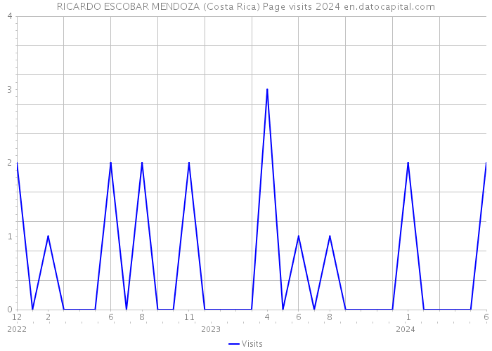 RICARDO ESCOBAR MENDOZA (Costa Rica) Page visits 2024 