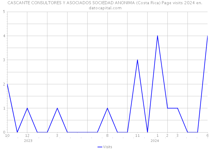 CASCANTE CONSULTORES Y ASOCIADOS SOCIEDAD ANONIMA (Costa Rica) Page visits 2024 