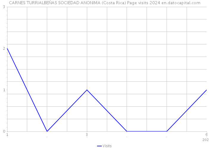 CARNES TURRIALBEŃAS SOCIEDAD ANONIMA (Costa Rica) Page visits 2024 