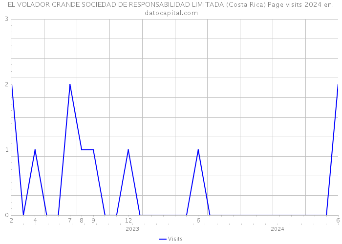 EL VOLADOR GRANDE SOCIEDAD DE RESPONSABILIDAD LIMITADA (Costa Rica) Page visits 2024 