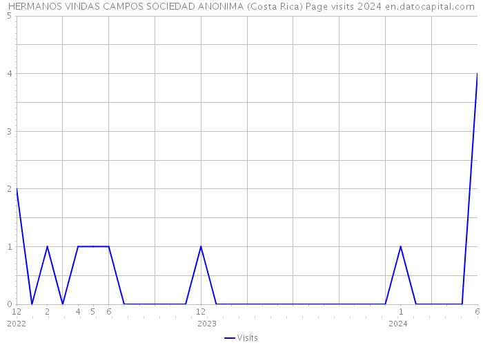 HERMANOS VINDAS CAMPOS SOCIEDAD ANONIMA (Costa Rica) Page visits 2024 
