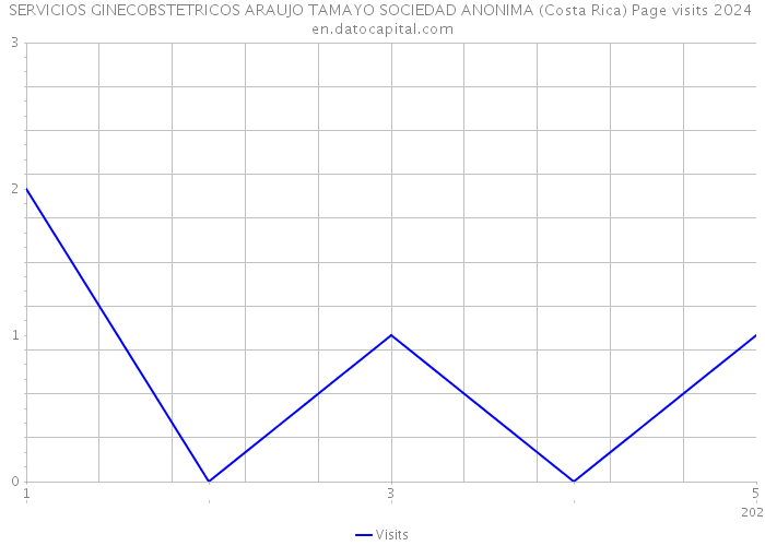 SERVICIOS GINECOBSTETRICOS ARAUJO TAMAYO SOCIEDAD ANONIMA (Costa Rica) Page visits 2024 