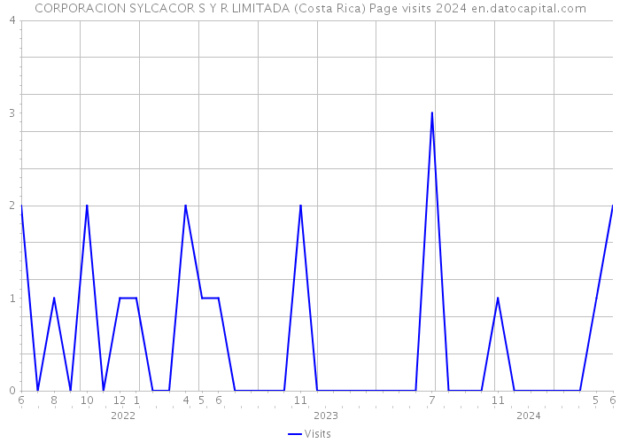 CORPORACION SYLCACOR S Y R LIMITADA (Costa Rica) Page visits 2024 