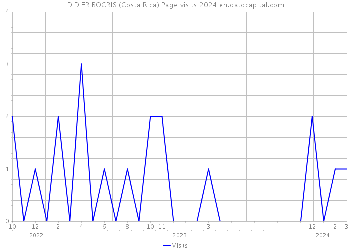 DIDIER BOCRIS (Costa Rica) Page visits 2024 