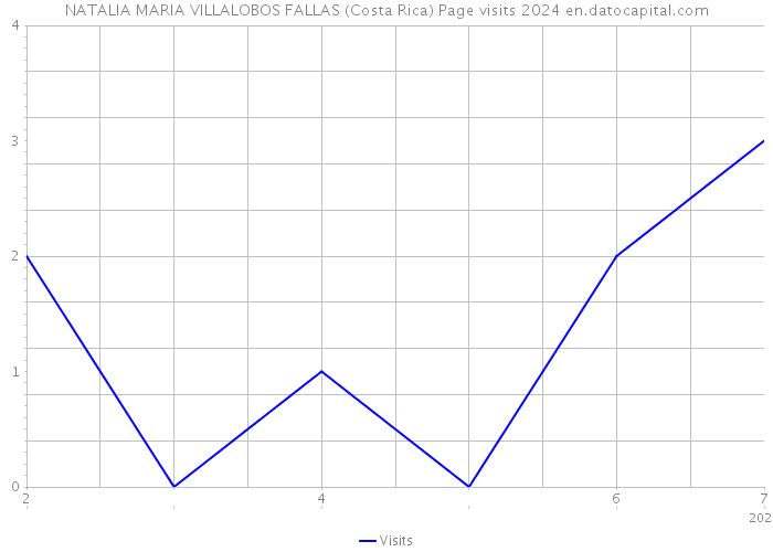 NATALIA MARIA VILLALOBOS FALLAS (Costa Rica) Page visits 2024 