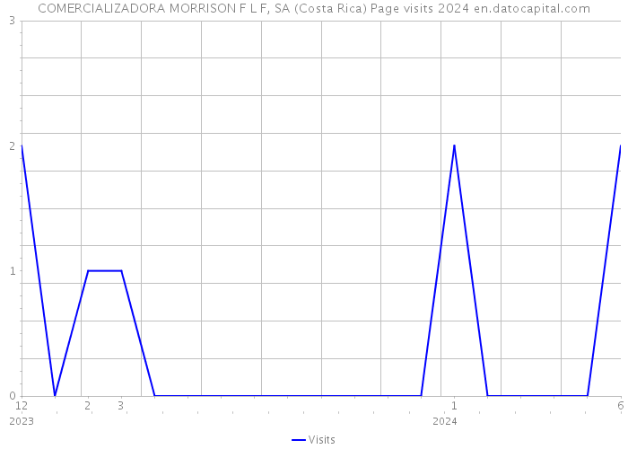 COMERCIALIZADORA MORRISON F L F, SA (Costa Rica) Page visits 2024 