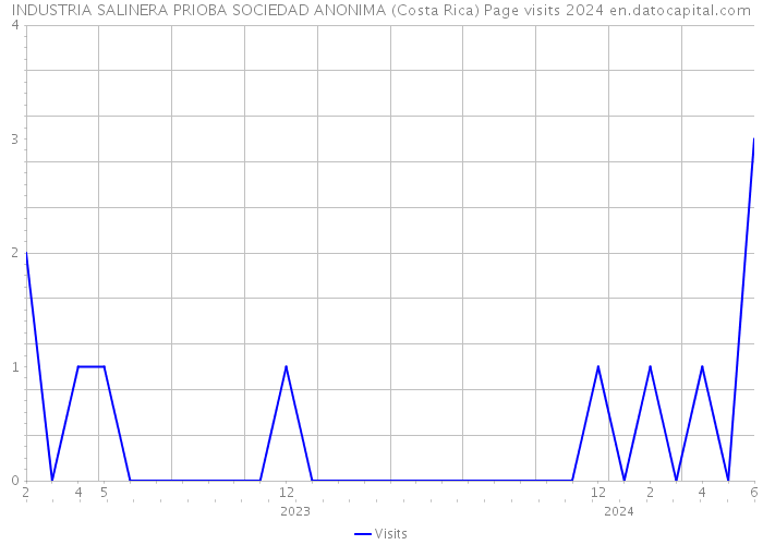 INDUSTRIA SALINERA PRIOBA SOCIEDAD ANONIMA (Costa Rica) Page visits 2024 