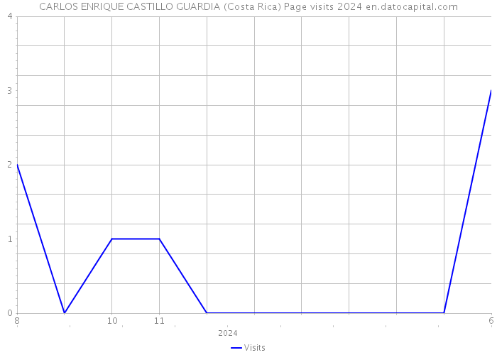 CARLOS ENRIQUE CASTILLO GUARDIA (Costa Rica) Page visits 2024 