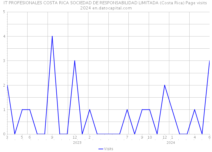 IT PROFESIONALES COSTA RICA SOCIEDAD DE RESPONSABILIDAD LIMITADA (Costa Rica) Page visits 2024 