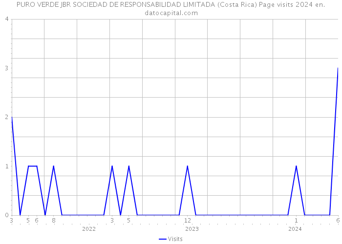 PURO VERDE JBR SOCIEDAD DE RESPONSABILIDAD LIMITADA (Costa Rica) Page visits 2024 