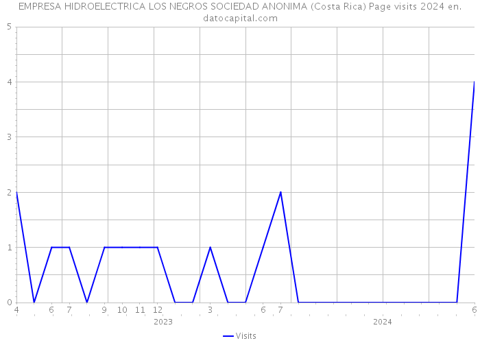 EMPRESA HIDROELECTRICA LOS NEGROS SOCIEDAD ANONIMA (Costa Rica) Page visits 2024 