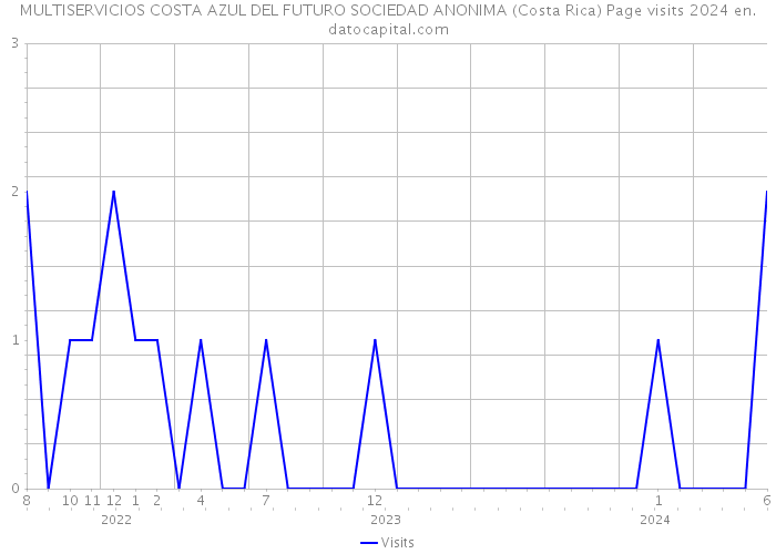 MULTISERVICIOS COSTA AZUL DEL FUTURO SOCIEDAD ANONIMA (Costa Rica) Page visits 2024 