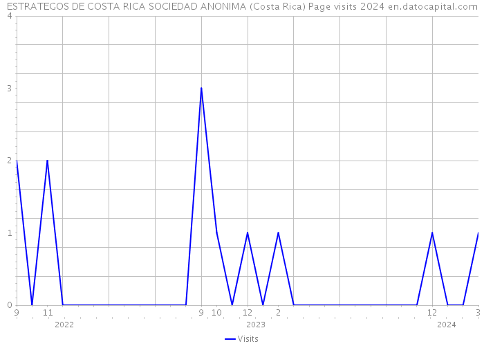 ESTRATEGOS DE COSTA RICA SOCIEDAD ANONIMA (Costa Rica) Page visits 2024 