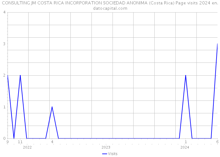 CONSULTING JM COSTA RICA INCORPORATION SOCIEDAD ANONIMA (Costa Rica) Page visits 2024 