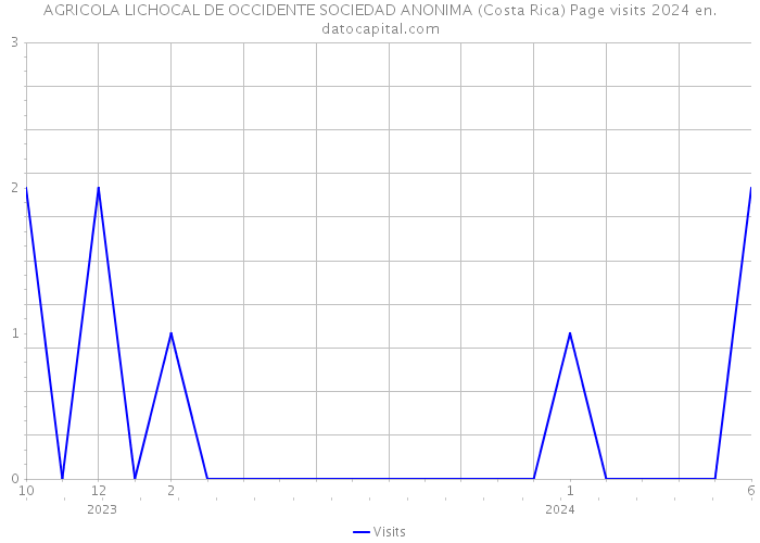 AGRICOLA LICHOCAL DE OCCIDENTE SOCIEDAD ANONIMA (Costa Rica) Page visits 2024 