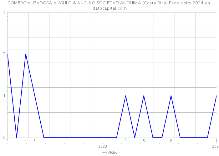 COMERCIALIZADORA ANGULO & ANGULO SOCIEDAD ANONIMA (Costa Rica) Page visits 2024 