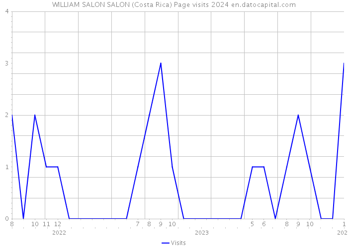 WILLIAM SALON SALON (Costa Rica) Page visits 2024 