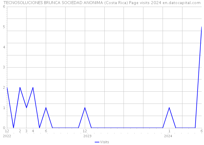 TECNOSOLUCIONES BRUNCA SOCIEDAD ANONIMA (Costa Rica) Page visits 2024 