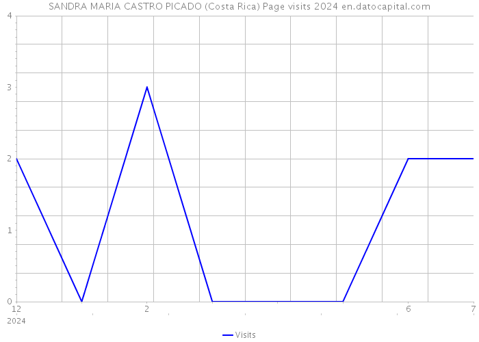SANDRA MARIA CASTRO PICADO (Costa Rica) Page visits 2024 