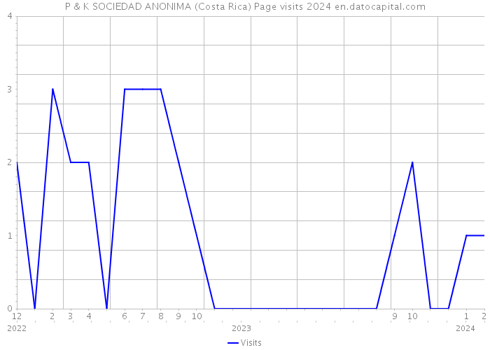 P & K SOCIEDAD ANONIMA (Costa Rica) Page visits 2024 