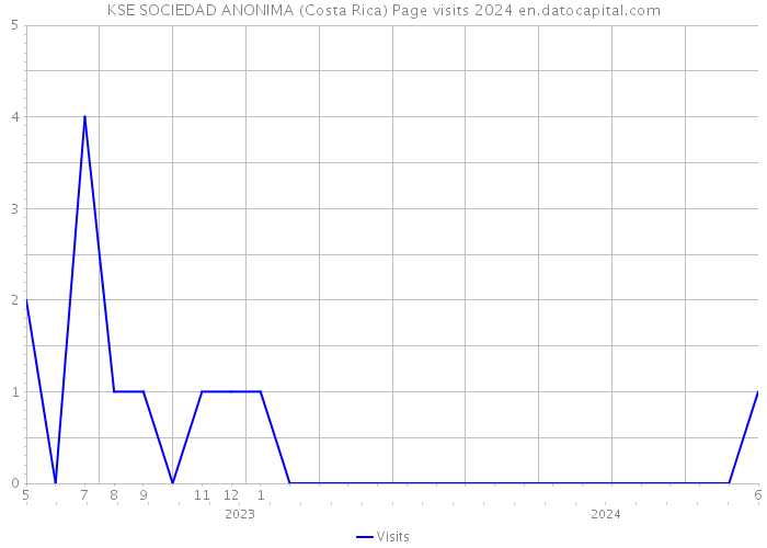KSE SOCIEDAD ANONIMA (Costa Rica) Page visits 2024 