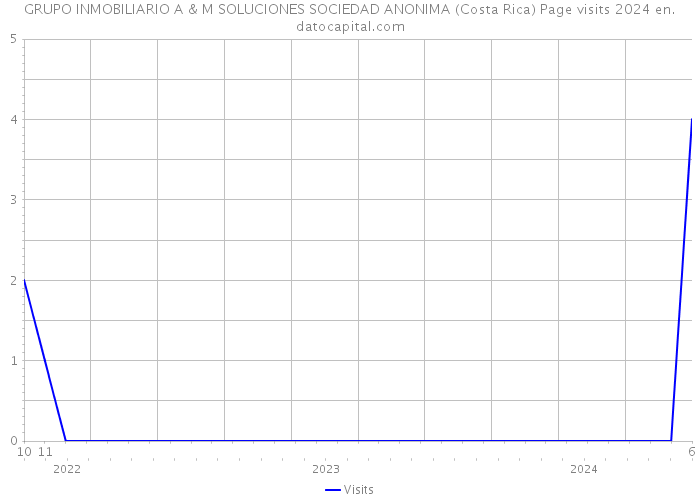 GRUPO INMOBILIARIO A & M SOLUCIONES SOCIEDAD ANONIMA (Costa Rica) Page visits 2024 