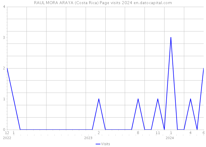 RAUL MORA ARAYA (Costa Rica) Page visits 2024 