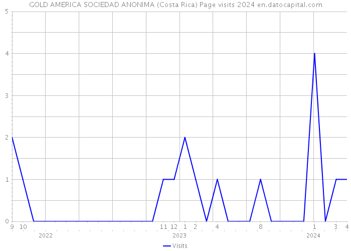 GOLD AMERICA SOCIEDAD ANONIMA (Costa Rica) Page visits 2024 