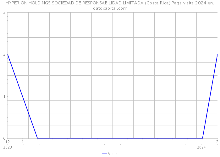 HYPERION HOLDINGS SOCIEDAD DE RESPONSABILIDAD LIMITADA (Costa Rica) Page visits 2024 