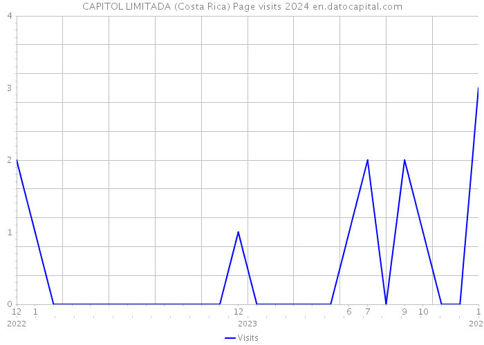 CAPITOL LIMITADA (Costa Rica) Page visits 2024 