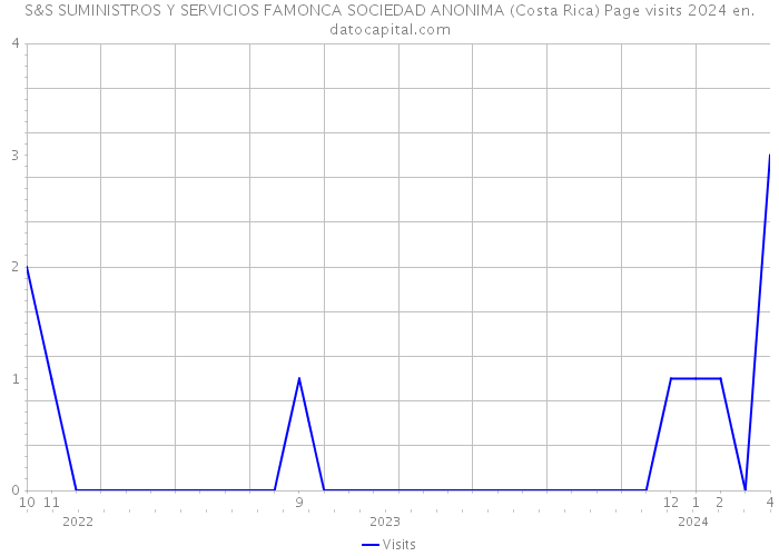 S&S SUMINISTROS Y SERVICIOS FAMONCA SOCIEDAD ANONIMA (Costa Rica) Page visits 2024 